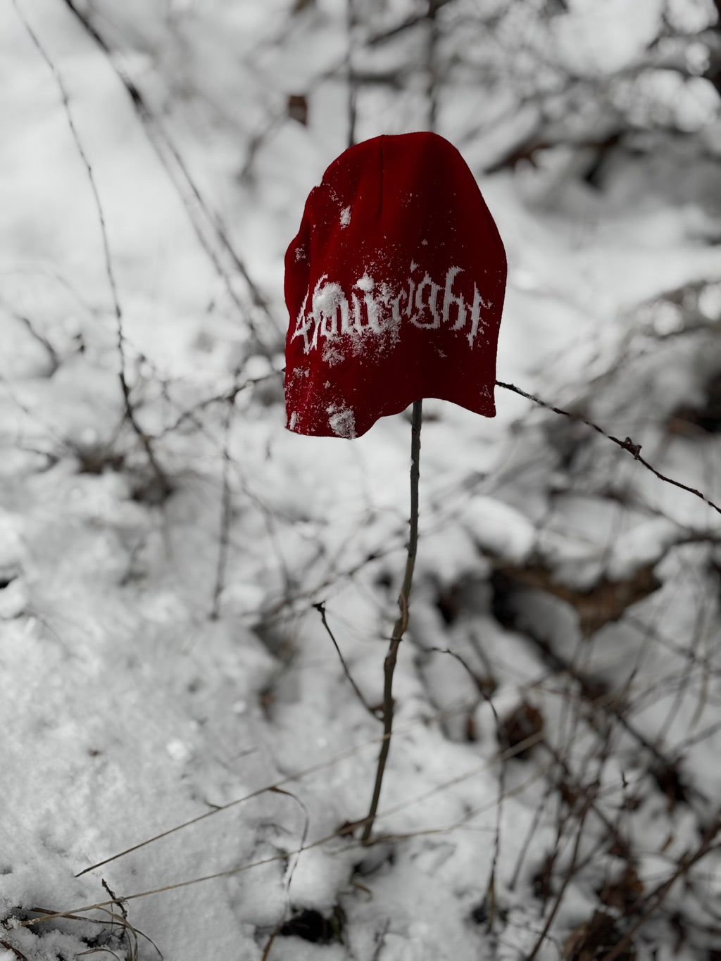 "The Original" Red 448 Beanie